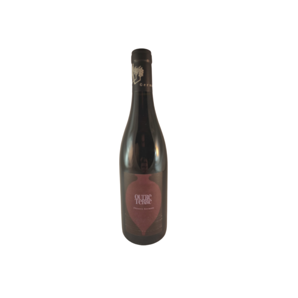 Domaine des Roches Neuves Thierry Germain Outre Terre Amphore Rouge 2016 - Vin de Saumur - Image 5